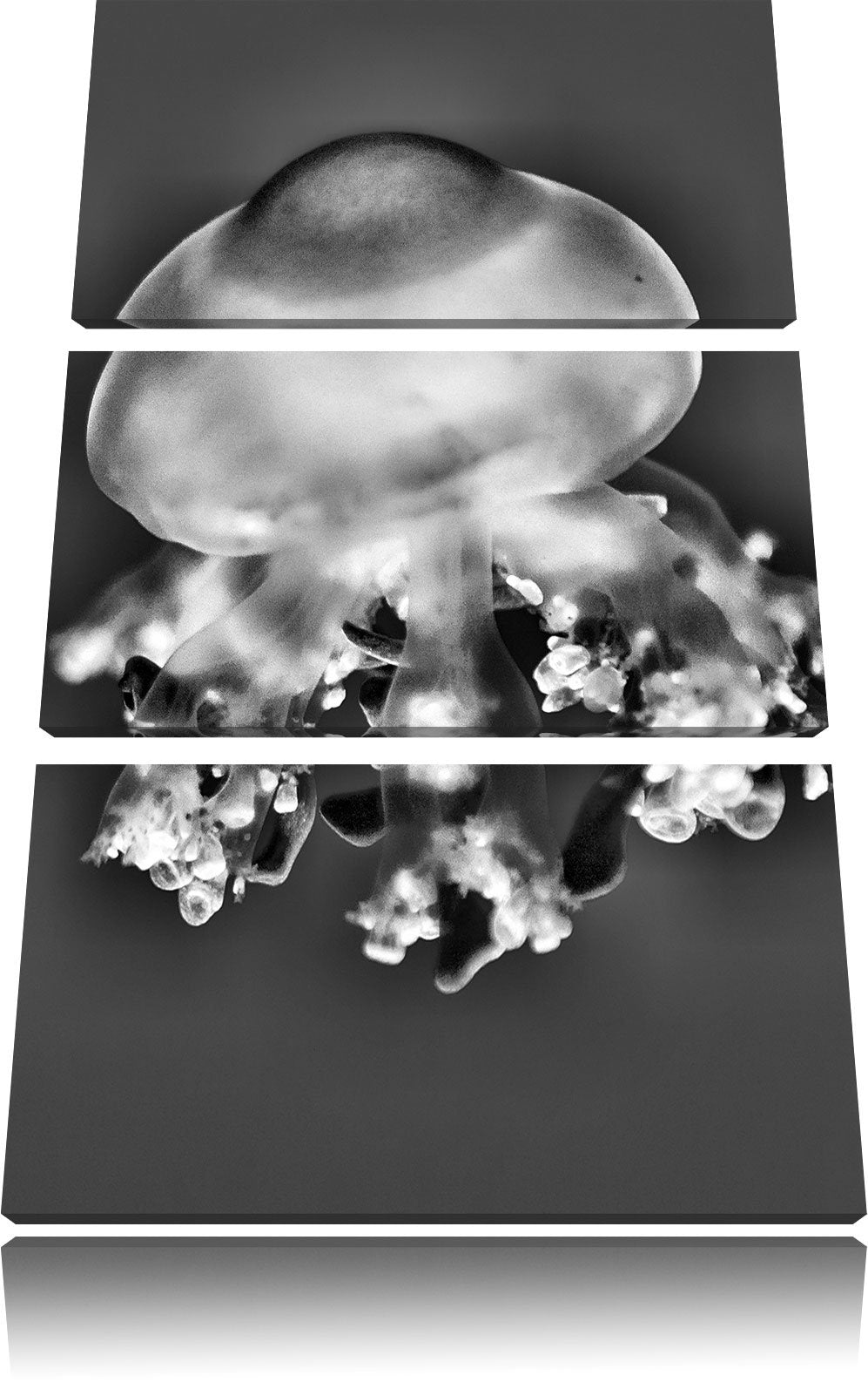 Pixxprint Qualle im Meer als Leinwandbild/Grösse: 3 Teilig (120x80) / Wandbild/Kunstdruck/fertig bes