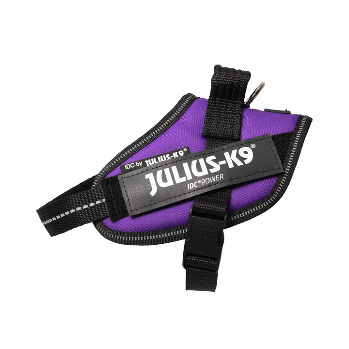 Julius-K9, IDC Powergeschirr, Grösse: XS/Mini-Mini, Dunkelviolett Dunkelviolett XS/Mini-Mini, Dunkel
