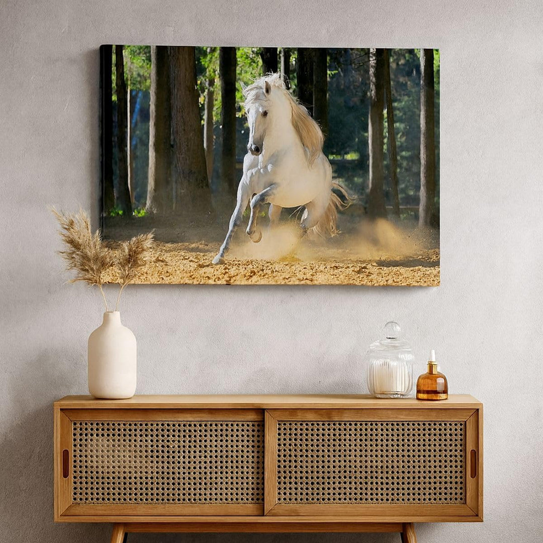 Bilder auf Leinwand 100x70cm Leinwandbild Staub Emotionen Pferd Natur Gross Wanddeko Bild Schlafzimm