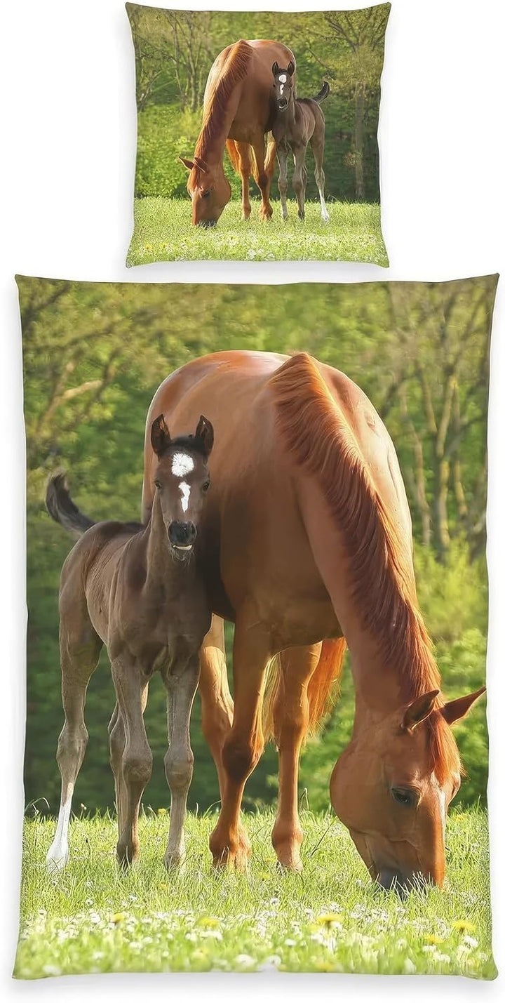 Young Collection Pferd Bettwäsche, 2-teilig, 80 x 80 cm, 135 x 200 cm Baumwolle 100%