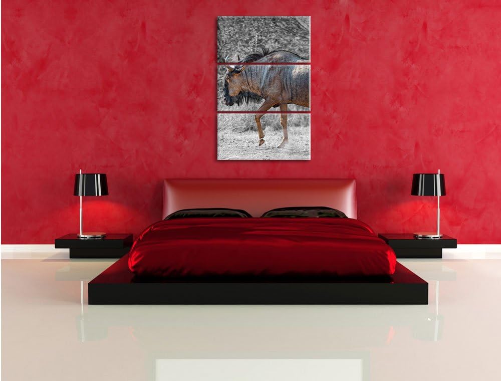 Pixxprint gigantische Kaffernbüffel in der Savanne schwarz/weiss 3-Teiler Leinwandbild 120x80 Bild a