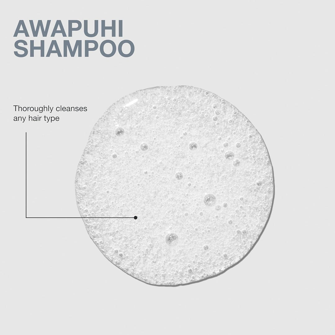 Paul Mitchell Awapuhi Shampoo - Haarwäsche in Friseur-Qualität für alle Haartypen, reichhaltiges Feu
