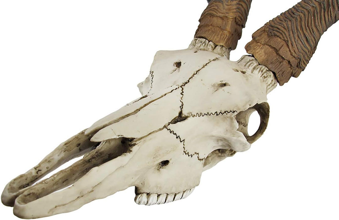 Things2Die4 african kudu antelope totenkopf wandsticker zum aufh?ngen cool twisted hörner Knochenfar