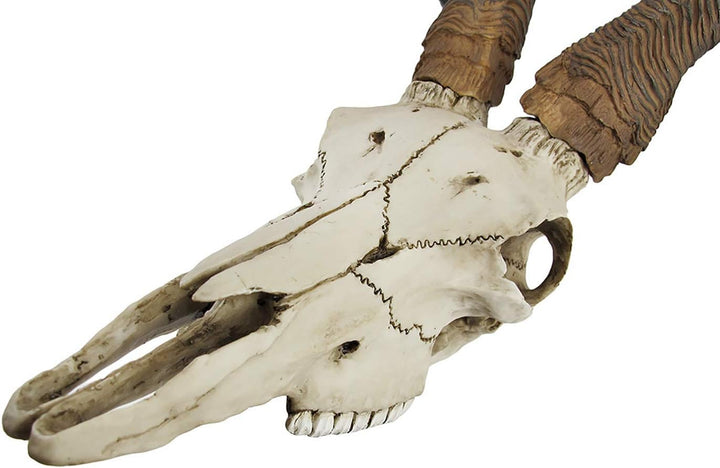 Things2Die4 african kudu antelope totenkopf wandsticker zum aufh?ngen cool twisted hörner Knochenfar