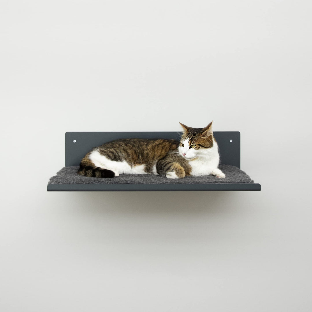 LucyBalu® Wandliege für Katzen | Katzenbett für die Wand | Katzen Wand Liegeplatz | Katzen Wandbett