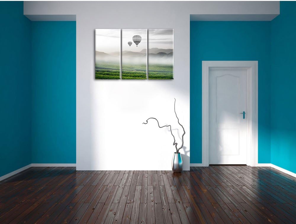 Pixxprint Heissluftballon Landschaft als Leinwandbild/Grösse: 3 Teilig (120x80) cm/Wandbild/Kunstdru