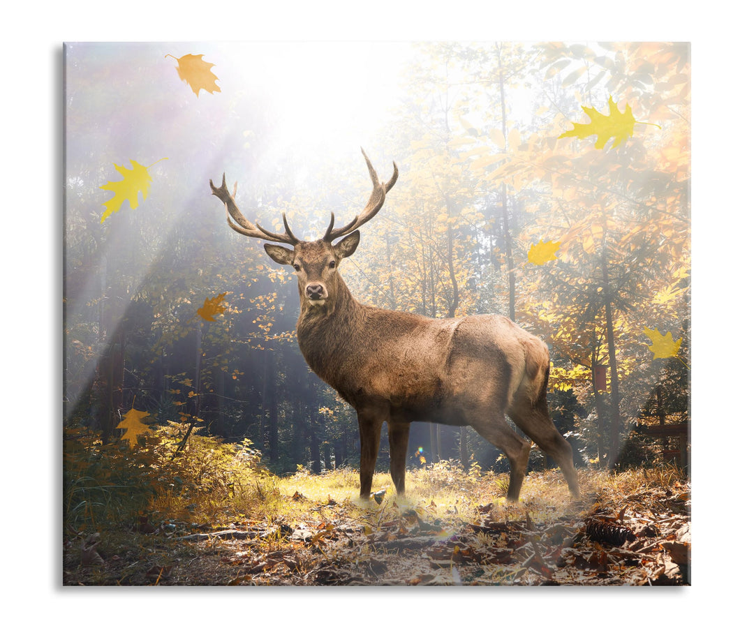 Hirsch im Wald mit fallenden Blättern Herdabdeckplatte & Spritzschutz aus Echtglas | Für Herd-Kochfe
