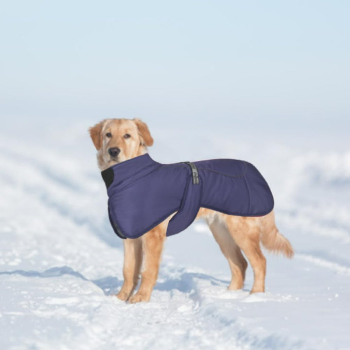 Hundemäntel Wasserdicht Winddicht Warm Winter Sicher mit Gewinde Reflektierende Streifen Jacke für M