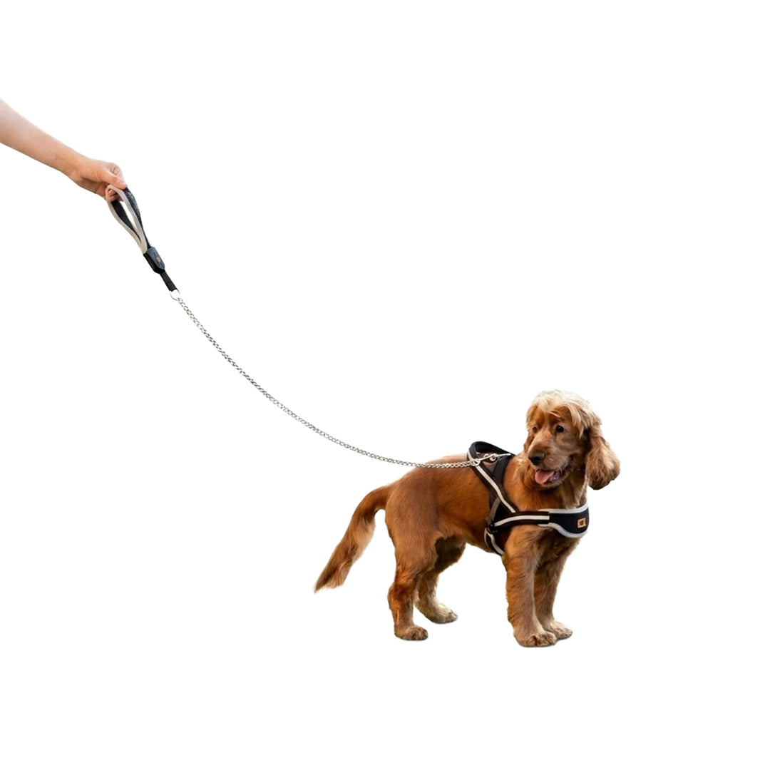 Ferplast Guinzaglio per Cani in Metallo Antimorso ERGOCOMFORT METAL, Impugnatura Ergonomica, Soffice