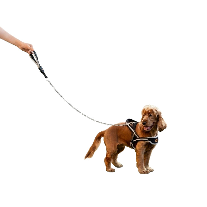 Ferplast Guinzaglio per Cani in Metallo Antimorso ERGOCOMFORT METAL, Impugnatura Ergonomica, Soffice