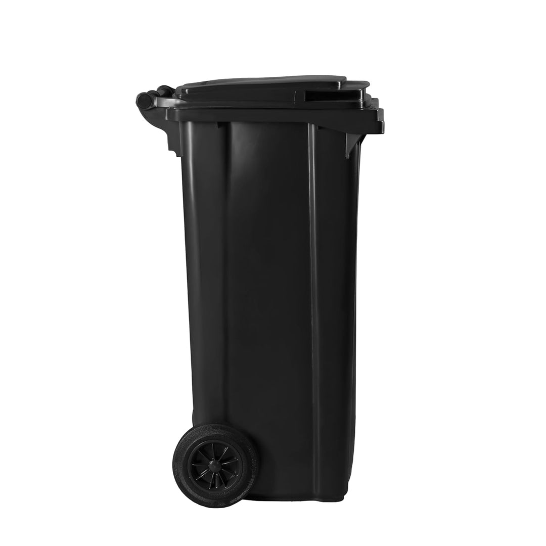 Hardwex Mülltonne mit 2 Rädern und Deckel, Müllgrossbehälter, Abfalltonne, Mülleimer, Volumen: 120 L