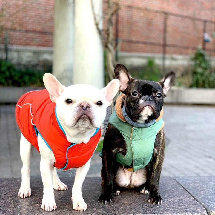 Gooby - Sportweste, Fleece gefütterte kleine Hunde Kaltwetterjacke Mantel Pullover mit reflektierend