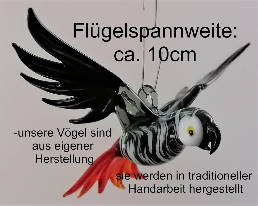 Hängevogel, Graupapagei, Glas