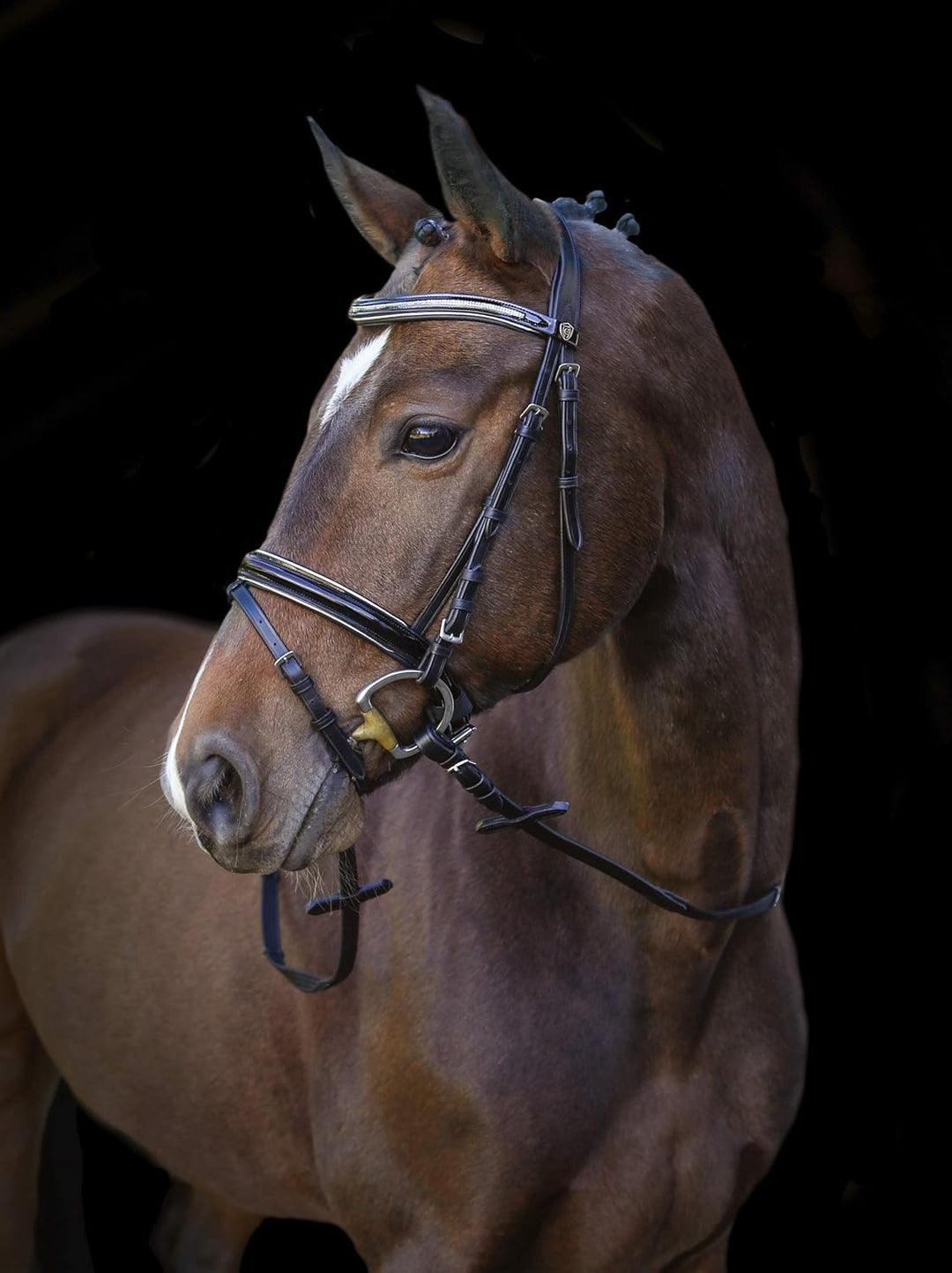Kerbl Covalliero Trensenzaum Kingston schwarz mit Silber Pony, Pony