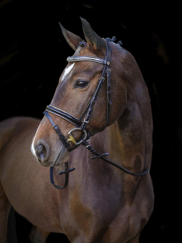 Kerbl Covalliero Trensenzaum Kingston schwarz mit Silber Pony, Pony