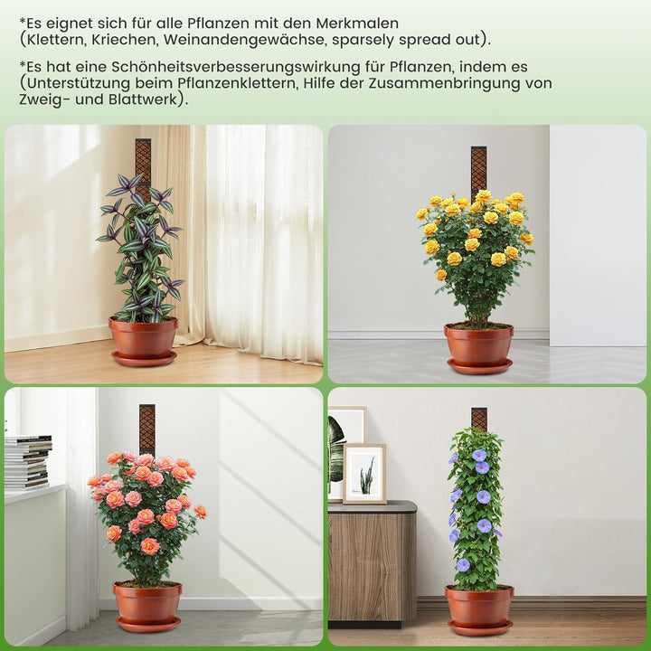 Moosstab für Monstera Rankhilfe Zimmerpflanzen - 103cm Rankhilfe Pflanzstab Monstera,Efeutute Pflanz