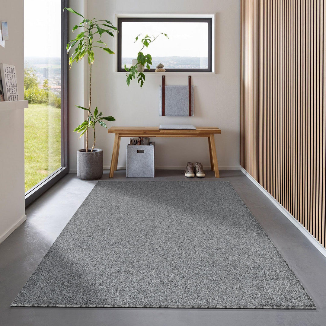 Wohnzimmer Teppich - Dichter Kurzflor, Einfarbig, Modern, Robust, Rechteckig und Rund - Grau, 60x100