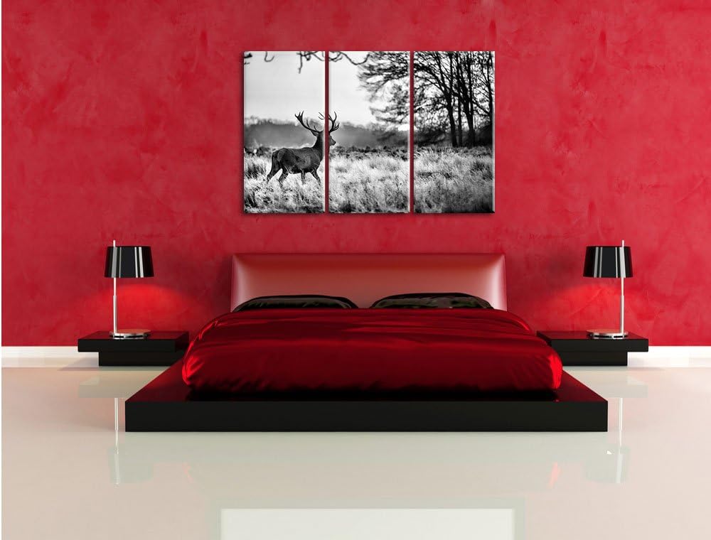 Pixxprint Hirsch im Sonnenuntergang als Leinwandbild/Grösse: 3 Teilig (120x80) cm/Wandbild/Kunstdruc