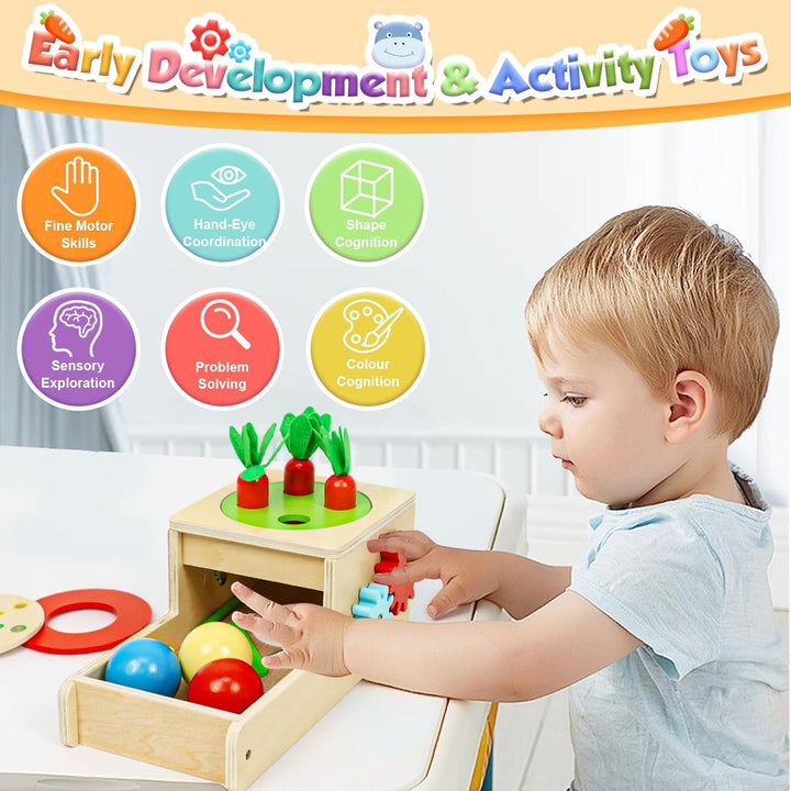 Holzspielzeug ab 1 Jahr, Montessori Spielzeug mit Karotten Baby Steckspiel, Motorik Spielzeug 1 2 3