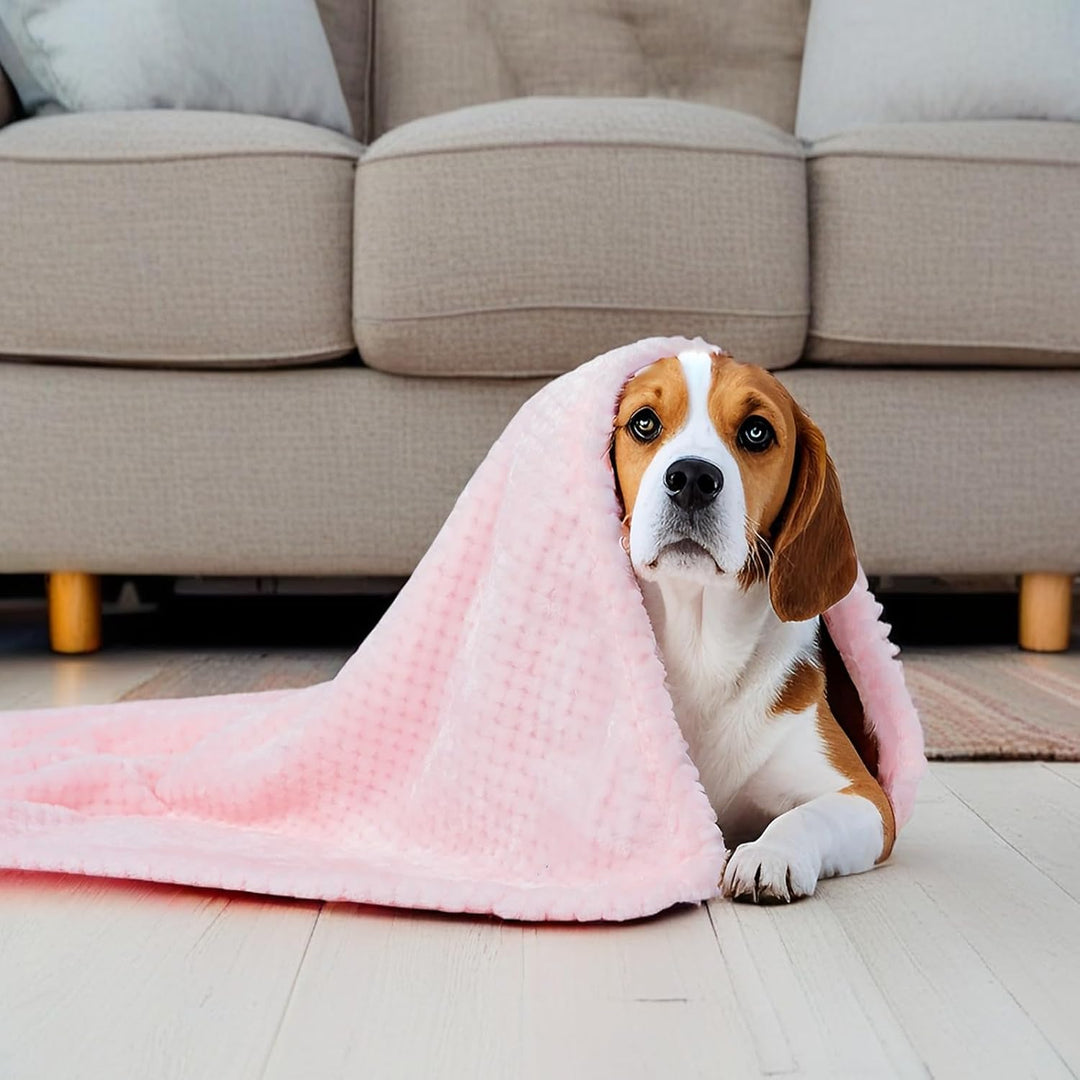 SLSON 2 Decken Hundedecken Katzendecken,Weiche Doppelseitige Haustierdecken für Sofas, Stühle,Autos,
