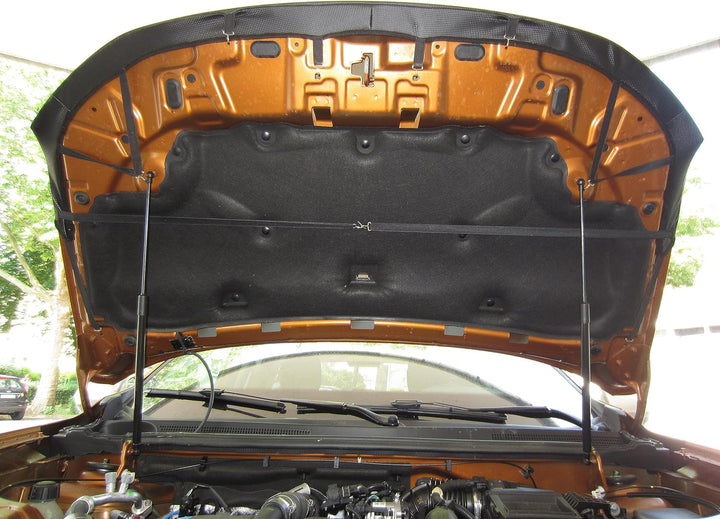 AB3-00039 Carbon Optik Auto Bra kompatibel mit Dacia Duster II Bj. 2018-2024 Haubenbra Steinschlagsc