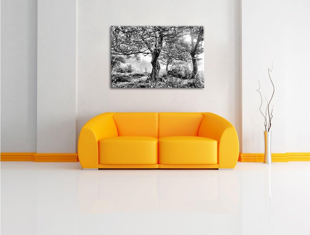 Pixxprint Traumhafte Herbstlandschaft als Leinwandbild/Grösse: 100x70 / Wandbild/Kunstdruck/fertig b