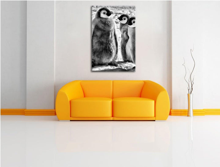 Pixxprint DREI Kaiserpinguin-Küken/Format: 100x70cm / Leinwandbild fertig bespannt Wandbild Kunstdru