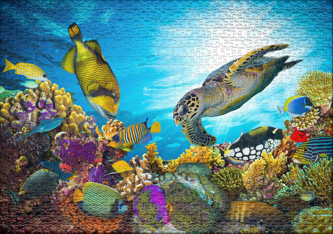 Ulmer Puzzleschmiede - Puzzle Farben-Meer - klassisches 1000 Teile Unterwasser-Puzzle - die Bunte Un
