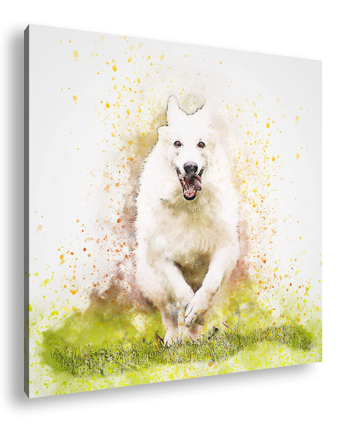deyoli spielender Hund Format: 60x60 als Leinwandbild, Motiv fertig gerahmt auf Echtholzrahmen, Hoch