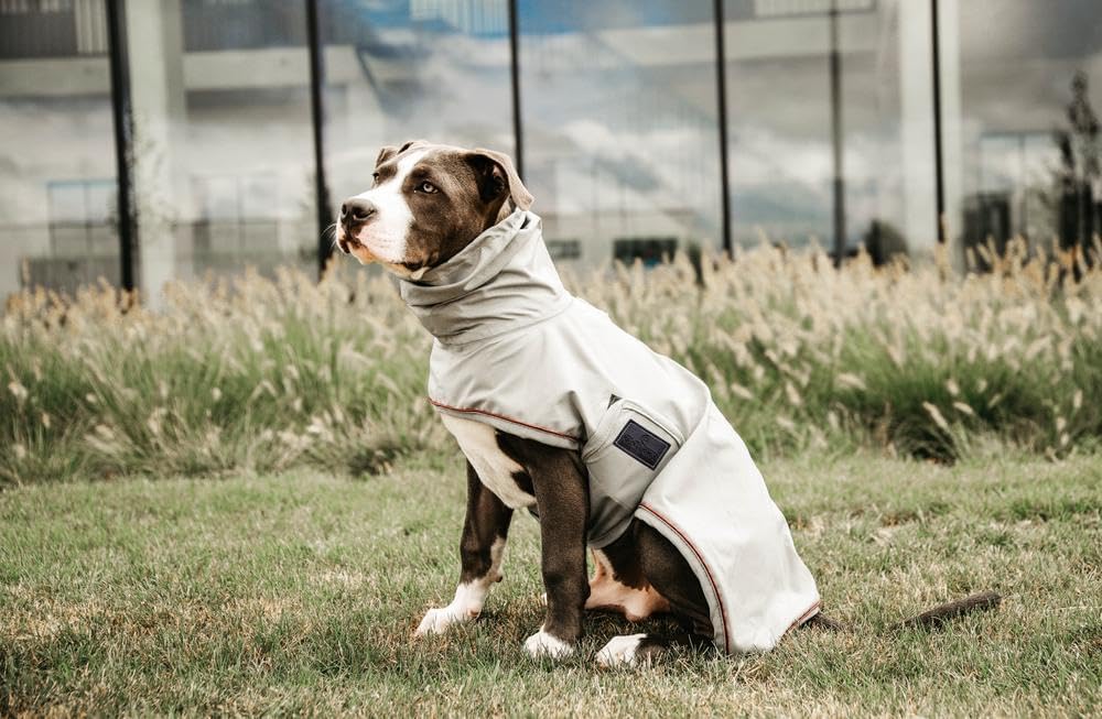 Kentucky Hunde Regenjacke Farbe Reitbekleidung Dusty Blue, Grösse S S dusty blue, S dusty blue