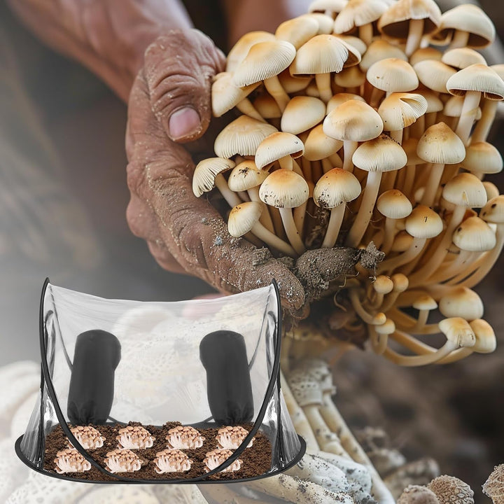 Pilze Züchten Growzelt, Tragbares Mushroom Grow Kit,Pilzzucht Zelt mit Reissverschluss &amp; Armloch,Gro