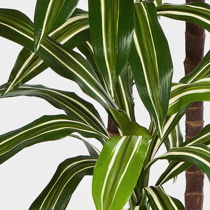 artplants.de Deko Dracaena Fragrans Staude, weiss - grün, 120cm | naturgetreuer Kunstbaum - Künstlic