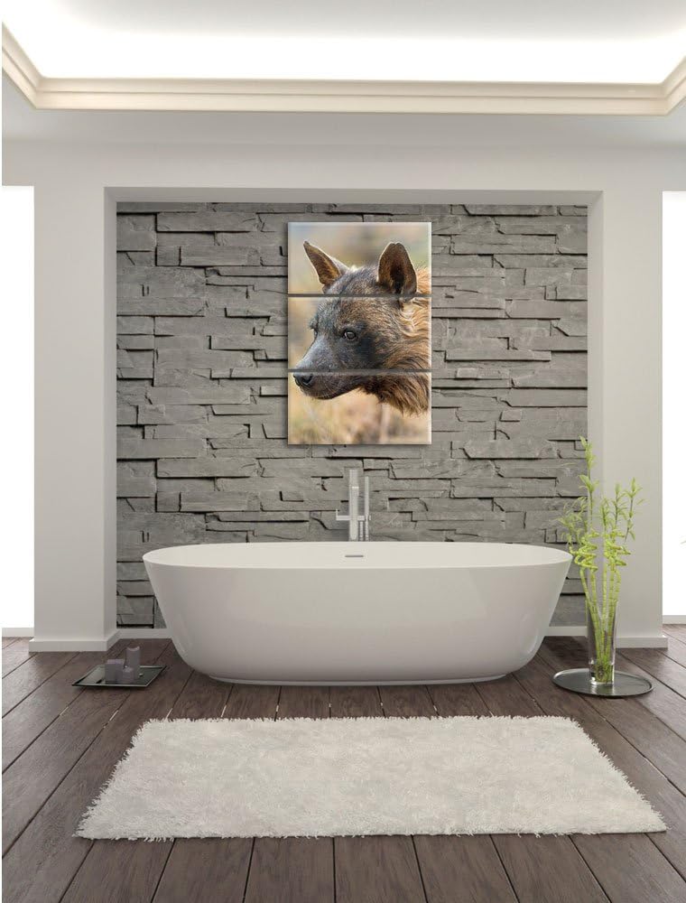 Pixxprint anmutige Hyäne im Wildgras als Leinwandbild/Grösse: 3 Teilig (120x80) cm/Wandbild/Kunstdru