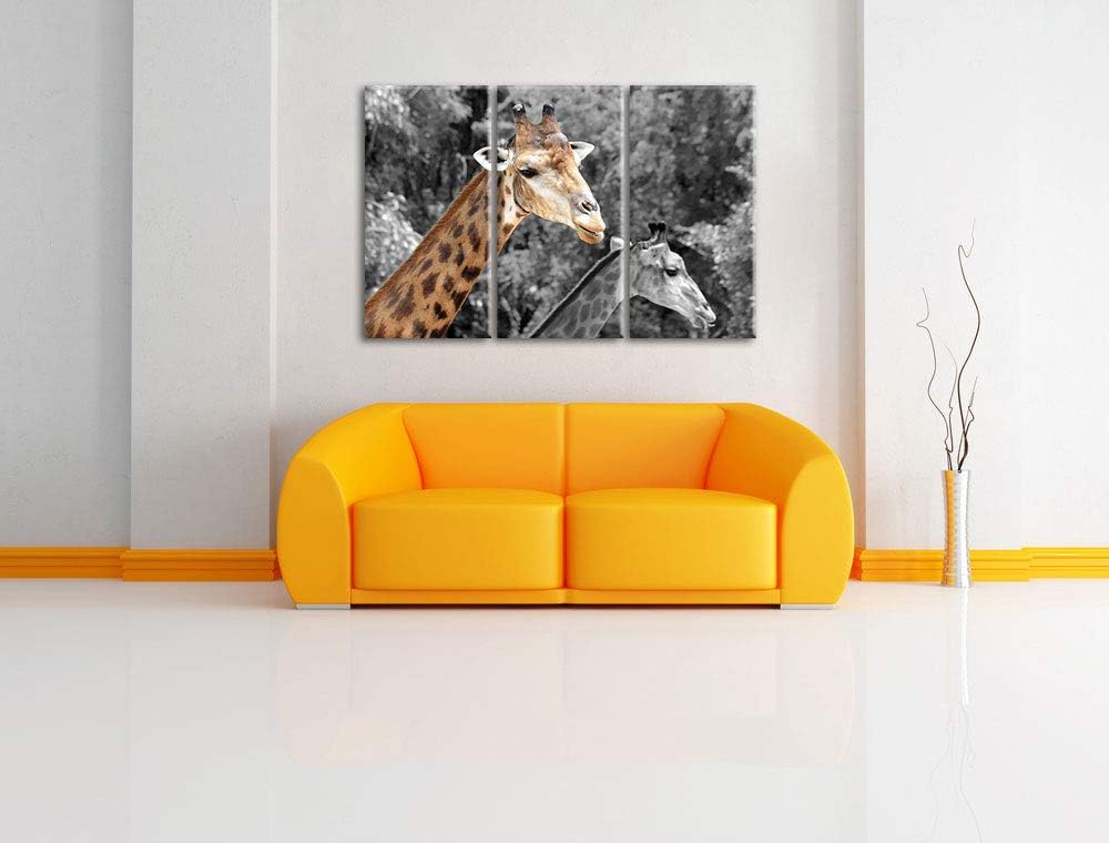 zwei schöne Giraffen schwarz/weiss 3-Teiler Leinwandbild 120x80 Bild auf Leinwand, XXL riesige Bilde