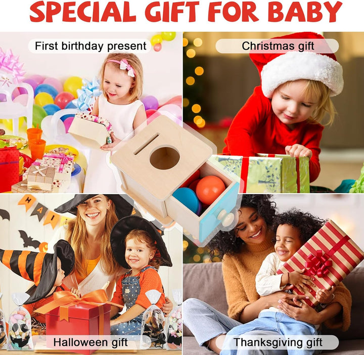 Adena Montessori Spielzeug ab 6 Monate – 2-in-1 Holz Münzbox & Ballbox für Babys – Lernspielzeug zur