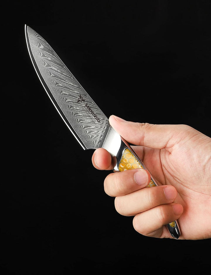 13CM Allzweckmesser, Küchenmesser aus Japanischem VG-10-Damaststahl, ultrascharfes Obstmesser mit Er