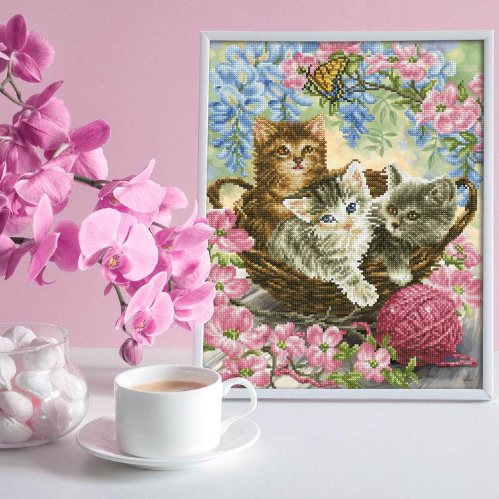 Diamond Dotz DD10-035 Kitty Knits, ca. 40 x 50 cm gross, Diamond Painting, Malen mit Diamanten, funk