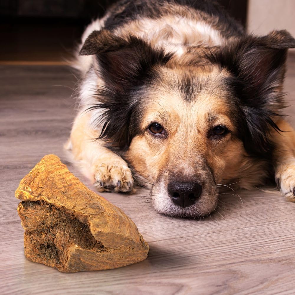 Wildfang® 3 Kauwurzel Hund (Grösse L) – Natürliches Kauholz aus Baumheide – Langlebiges & splitterfr