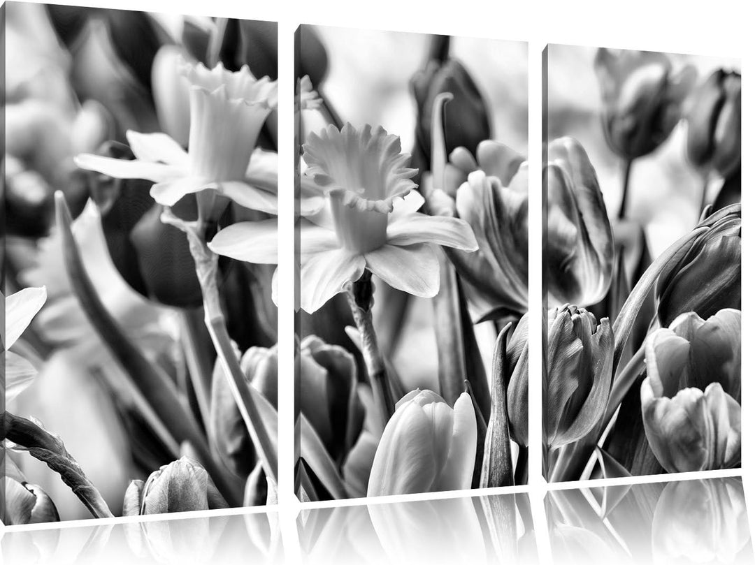 Pixxprint Osterglocken und Tulpen als Leinwandbild/Grösse: 3 Teilig (120x80) cm/Wandbild/Kunstdruck/