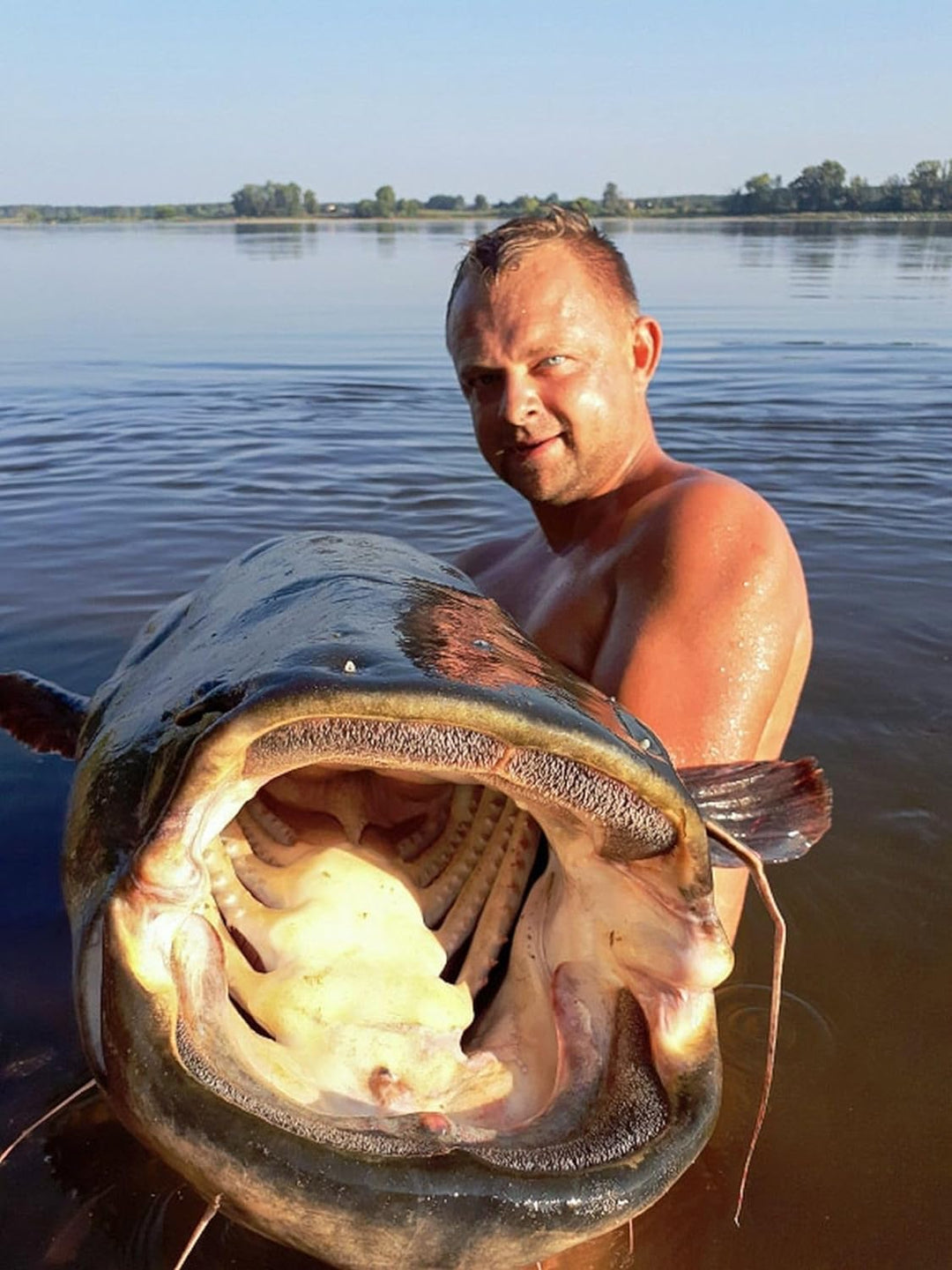 Tandem Baits Monster Cat Super Strong Braids Geflochtene Angelschnur Angelzubehör Wels-Angeln Zubehö