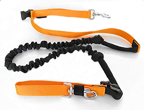 Canicross Hundeleine, professionell, mit einziehbarem Stossdämpfer, ausziehbar, 2,5 m, Jogging, Ski-