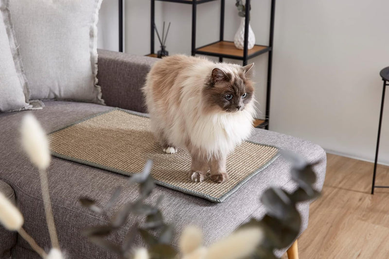Kratzmatte für Katzen - Fussmatte Sisal Kratzteppich - natürliche Sisalmatte robust - Vorleger aus 1