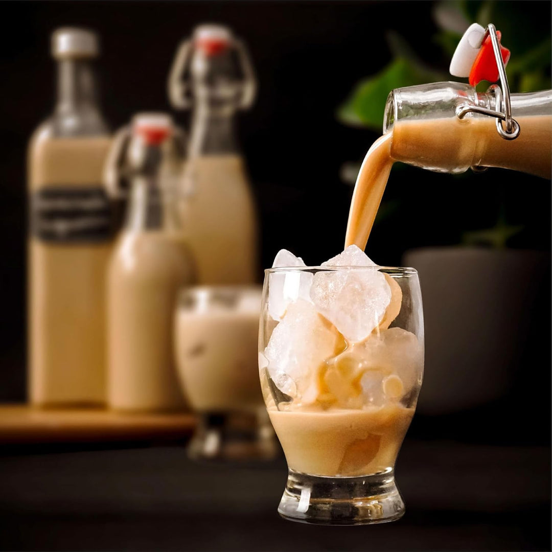 Praknu 12er Set Glasflaschen 500ml mit Bügelverschluss - Bügelflaschen Zum Befüllen - inkl 12 Extra