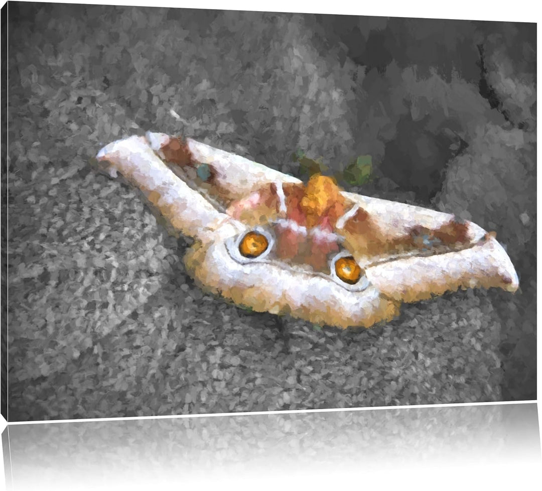 eleganter Schmetterling auf Blatt schwarz/weiss Deluxe Format: 100x70 cm auf Leinwand, XXL riesige B