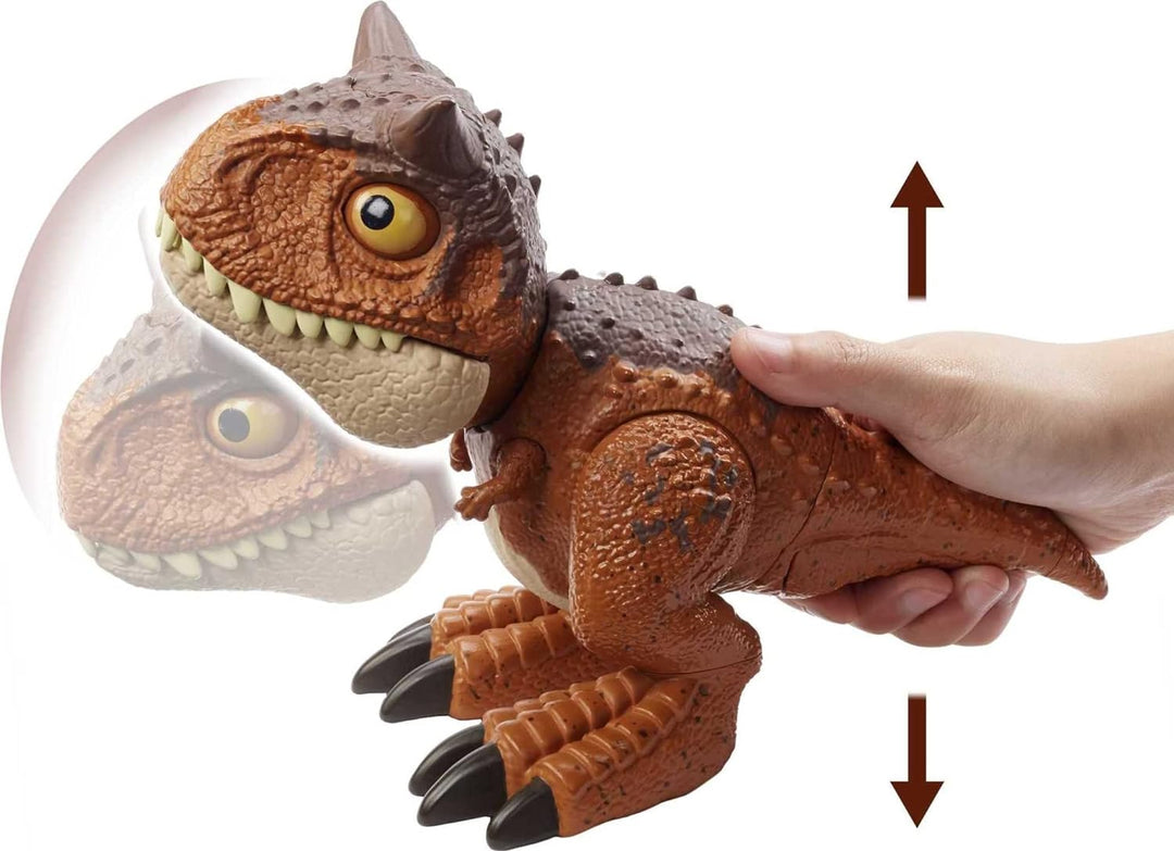 Jurassic World HBY85 - Beissangriff Carnotaurus Toro-Dinosaurier-Actionfigur, Dinosaurier Spielzeug
