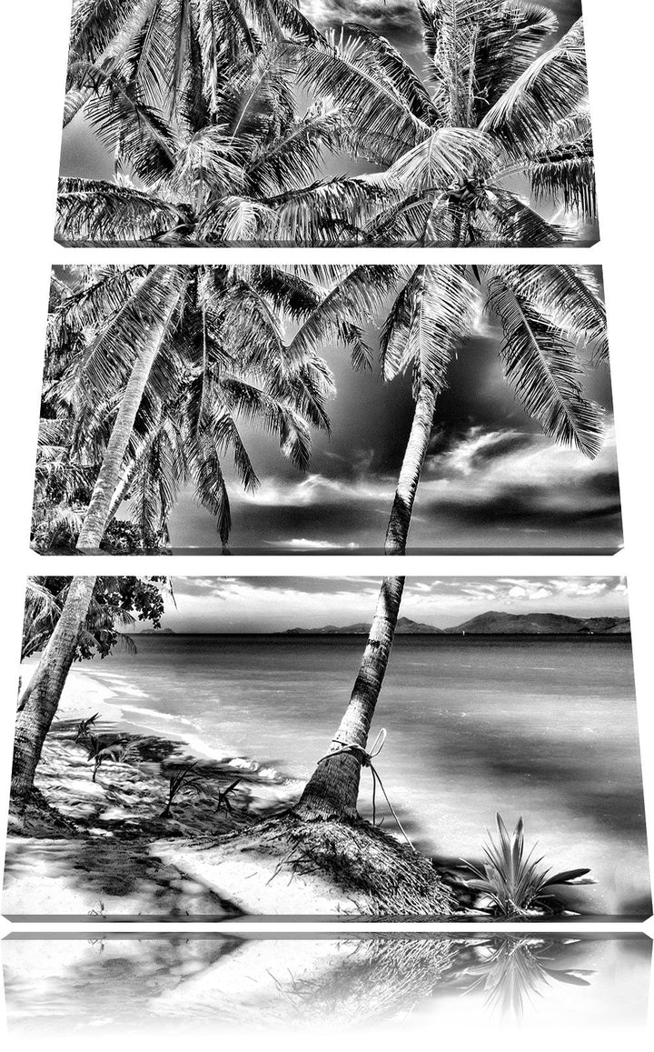 Pixxprint Palmen Traumstrand als Leinwandbild/Grösse: 3 Teilig (120x80) cm/Wandbild/Kunstdruck/ferti