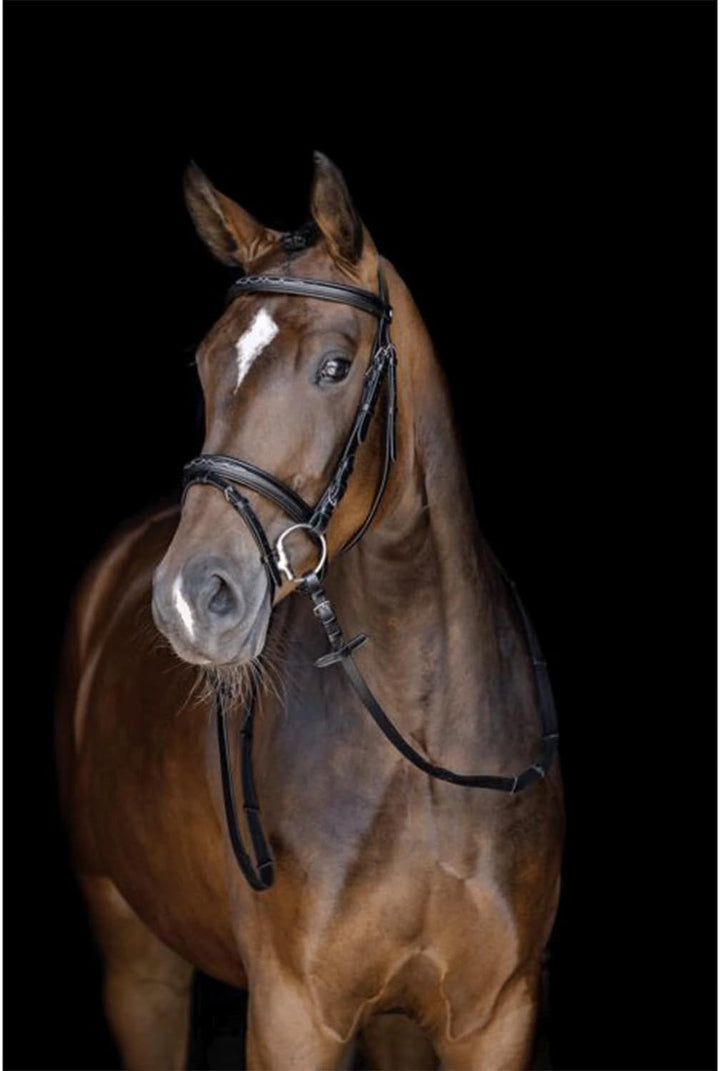 HKM 10892400.0622 Reittrense, Jana Pony, Pony