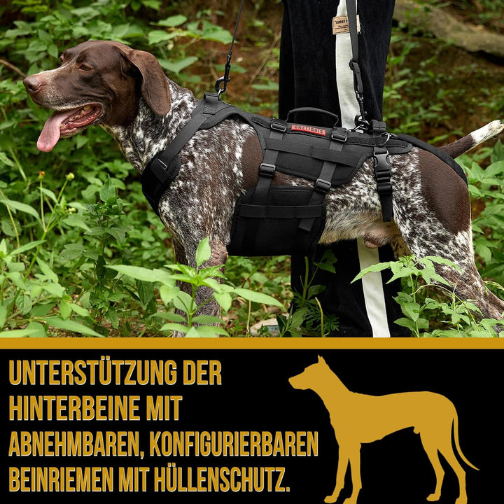 OneTigris Hundegeschirr, Invictus Hunde Tragehilfe für Mittelgrosse Grosse, Einstellbar Gehhilfe für