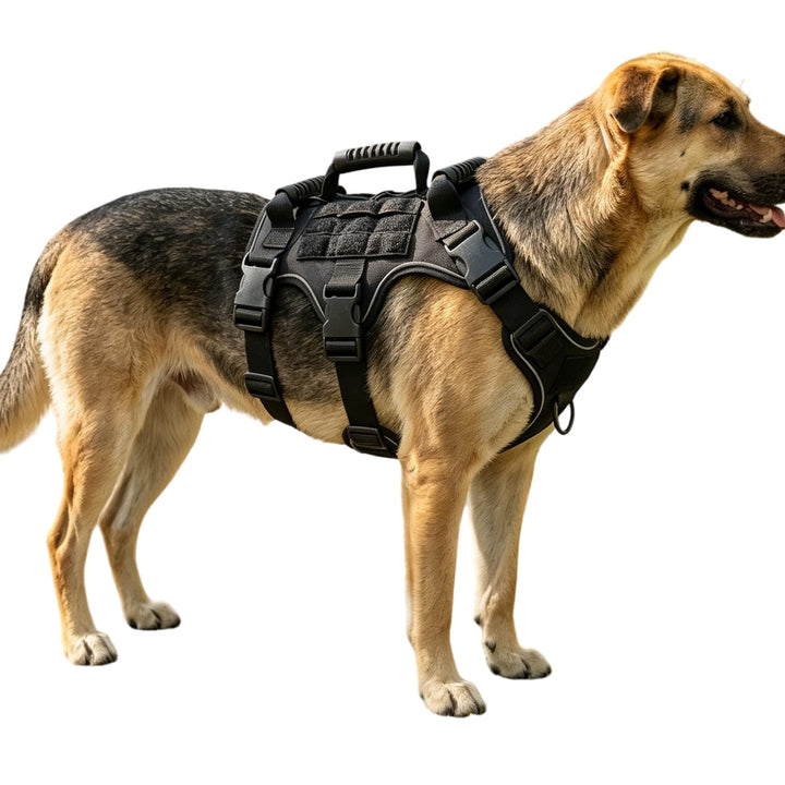 Taktisches Hundegeschirr Nylon reflektierend für grosse Hunde (Schwarz) | Robustes Hundegeschirr Aus