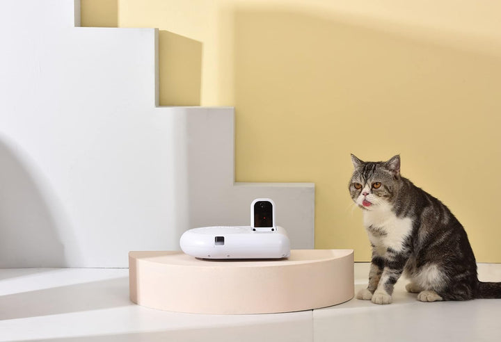 DOGNESS Mini Treat Robot Miniroboter – Steuerung per App, mit Kamera, Mikrofon und Lautsprecher, sch